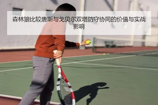 森林狼比较唐斯与戈贝尔双塔防守协同的价值与实战影响